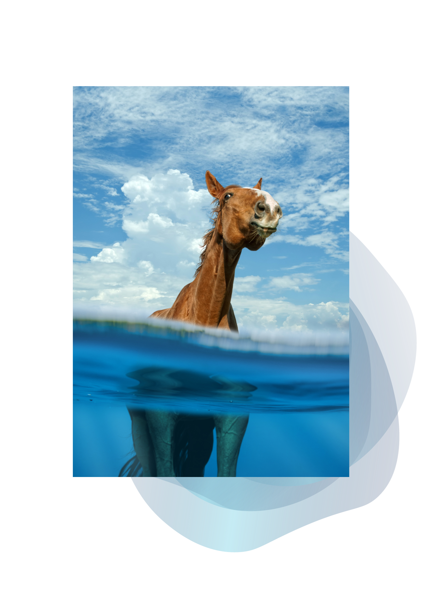 wasser_pferd